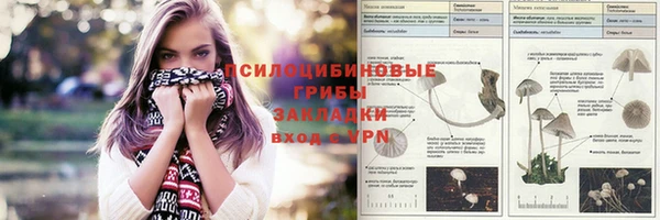 дживик Олёкминск