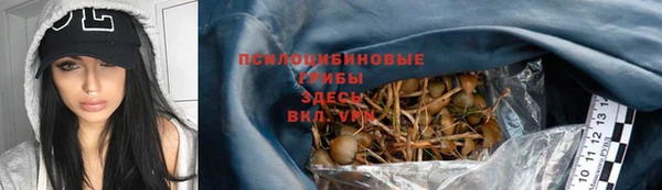 ПСИЛОЦИБИНОВЫЕ ГРИБЫ Сатка