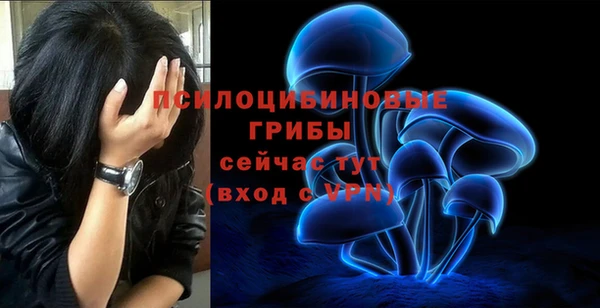 дживик Олёкминск