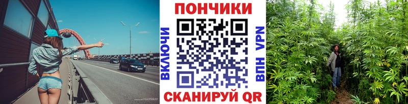 Бошки Шишки семена Юрюзань